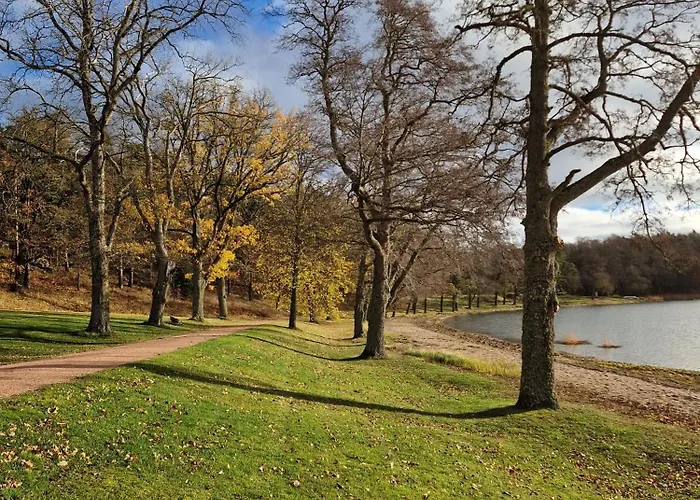 Soederlangvik Glamping *